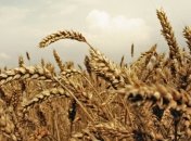 УКАБ об уменьшении количества разрешительных документов