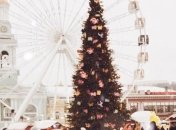 Новый год 2020: главная елка Украины нарядится на кругленькую сумму