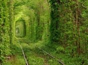 "Укрзализныця" опровергает информацию об уничтожении "Тоннеля любви"