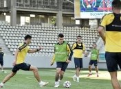 Украина - Северная Македония: букмекеры верят в команду Шевченко