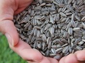 Полезные продукты для здоровья сердца и сосудов