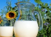 Стало известно, как молочнокислые бактерии влияют на иммунитет