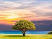 Тест на перевірку вашої впевненості в собі