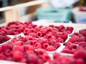 Малины будет в два раза больше