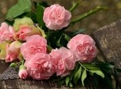 Трогательные поздравления с Днем рождения на 22 августа