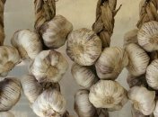 От какой болезни защитит чеснок?