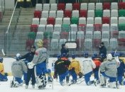 Збірна України з хокею