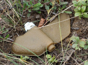 Так виглядає "міна-метелик" вона ж "міна-пелюстка"