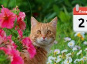 Яке свято 21 липня: народні прикмети і заборони