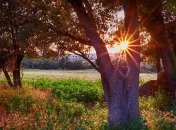 Бабине літо цієї осені буде нетривалим