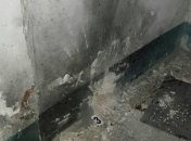 В Днепре полицейские получили ранения при задержании квартирных воров