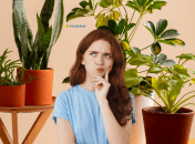 Есть три преимущества