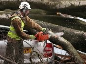 Непогода в Великобритании убила уже 8 человек 