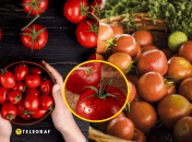Срок хранения томатов можно продлить очень просто