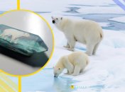 Иллюстративное фото