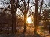 Зима не спешит: синоптики дали прогноз до конца недели 