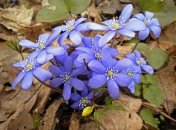 19 апреля. Приметы дня