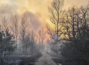 Спасатели о пожарах: Если так и дальше пойдет, к зиме выгорит вся страна