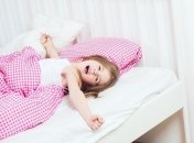 Если ребенок – сова. Советы родителям