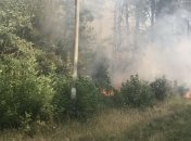 На Харьковщине спасатели с помощью авиации локализовали лесной пожар