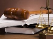 Леди Лед приговорили к пожизненному лечению