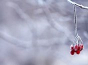 Гололед, туман и снег: прогноз погоды на 15 декабря 