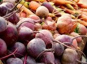 Морква і буряк будуть дуже великі та солодкі