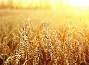 Прогноз погоды на 22 июля: солнечно по всей территории Украины