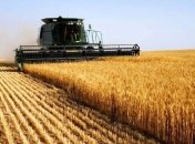 Стало известно, когда продлят программу поддержки фермерства в Украине