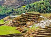 Невероятная красота рисовых террас Китая (Фото) 