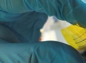 Разработан новый гибкий прозрачный электрический проводник