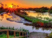 Город зеленого цвета: как выглядит современный латвийский эко-поселок (Фото)