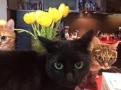 Какие знаки Зодиака самые безответственные