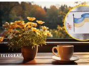 Вместе или отдельно: секреты написания «утром» и «с утра»