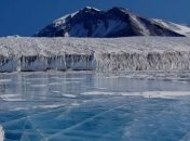 В Антарктике впервые собрали урожай овощей 