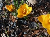 День святой Явдохи: народные обычаи и приметы