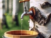 Какой сегодня праздник - День березы и память святого Марка