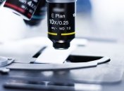 Пригодится в будущем: создан новый искусственный фермент