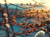 Не январская погода: в Украине - тепло и солнце, осадки прекратятся