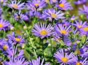 Прогноз погоды на 20 сентября: украинцам обещают настоящее лето