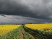 Дожди и грозы накроют юго-восток Украины: прогноз погоды на ближайшие дни 