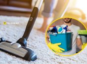 Как быстро освежить воздух в комнате