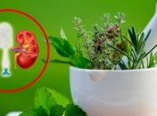 Проверенное народное средство для очищения почек 