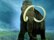 Ученые: мамонты могли предотвратить таяние ледников