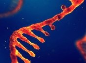 Гипотеза "мира РНК" рушится: каковой могла быть первая жизнь 