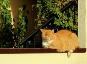 Серпень ще порадує любителів тепла