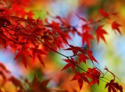 10 ноября. Приметы дня