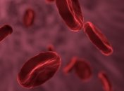 Ученые научились превращать разные группы крови в универсальную