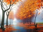 Осінній дощ