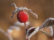 4 декабря - приметы в день Введения во храм Пресвятой Богородицы